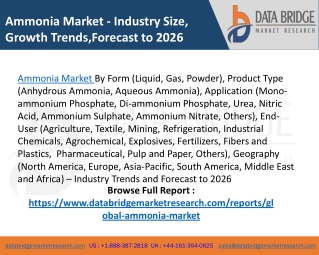 Ammonia Market