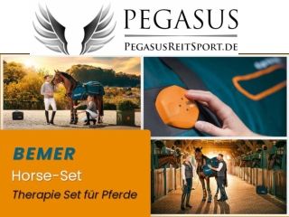 Warum Brauchen Pferde Schabracken