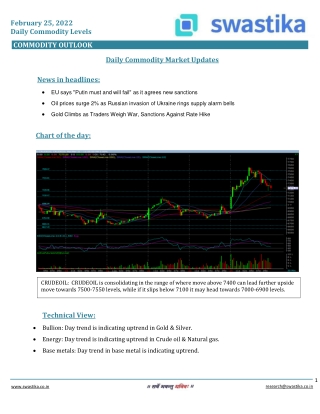 Commodity daily levels (25-Feb.)