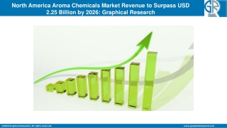 North America Aroma Chemicals Market