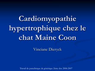 Cardiomyopathie hypertrophique chez le chat Maine Coon