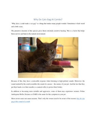 Why Do Cats Gag At The Sound Of A Comb: The Mystery!