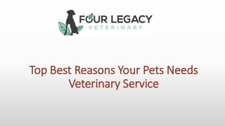 Top Best Reasons Your Pets Needs Veterinary Service