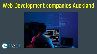 Website Development Auckland 1