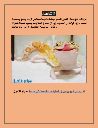 رؤية أبو بريص في المنام للمتزوجة tfaseal.com