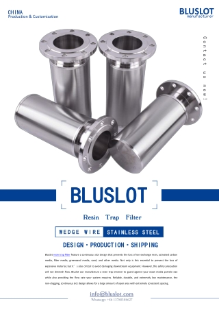 Wedge Wire Resin Trap Filter Strainer Manufacturer - Bluslot