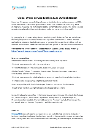 2021 Drone Service Industry Global Analysis Report