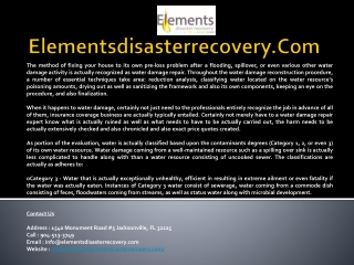 Elementsdisasterrecovery.com