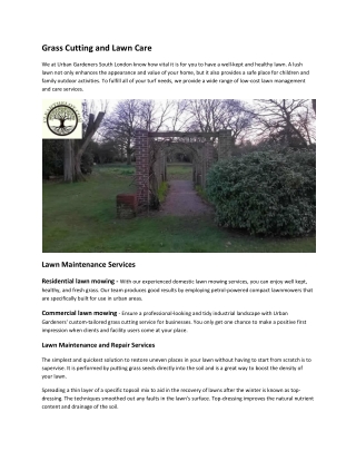 Grass Cutting and Lawn Care