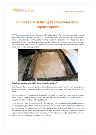 Importance of hiring Professional Drain repair Experts