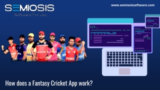 How does a Fantasy Cricket App work?