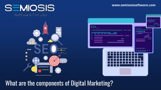 What are the components of Digital Marketing?