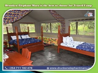 Drunken Elephant Mara is the best to choose for Tented Camp