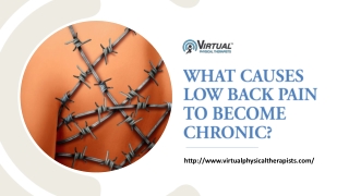 WHAT CAUSES LOW BACK PAIN TO BECOME CHRONIC