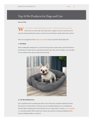 Top 10 Pet Products for Dogs and Cats