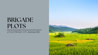 Brigade Plots at Electronic City, Bangalore | Brochure