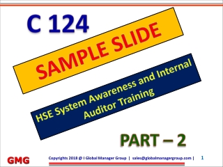 HSE Auditor Training PPT