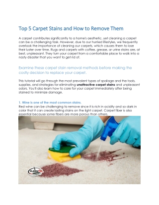 Top 5 Carpet Stains and How to Remove Them