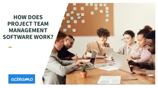 How does project team management software work_