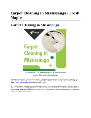 You deserve Trustworthy Professionals for Carpet Cleaning in Mississauga.