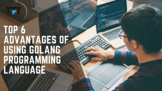 Top 6 Advantages of Using Golang Programming Language