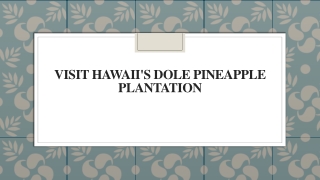 Visit Hawaii's Dole Pineapple Plantation