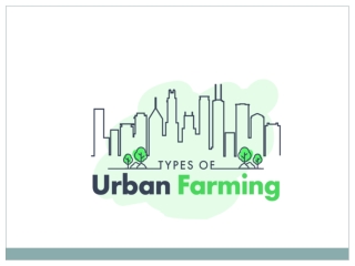 Types Of Urban Farming