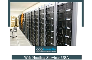 Web Hosting Services USA