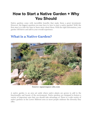 How to Start a Native Garden   Why You Should