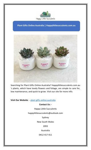 Plant Gifts Online Australia | Happylittlesucculents.com.au