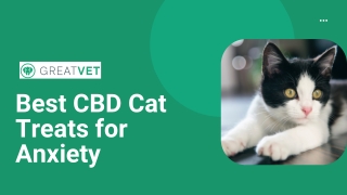 Best CBD Cat Treats for Anxiety
