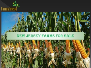New Jersey Farms For Sale