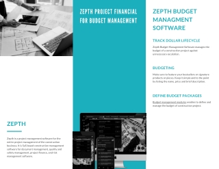 Zepth Project financial for Budget Management