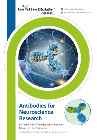 anti gfap antibodies for neuroscience research creative biolabs
