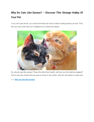 Why Do Cats Like Earwax