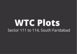 WTC Plots Sector 111 to 114, South Faridabad | Leisure, Activities and the Wonde