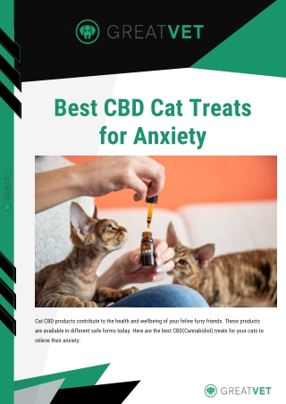 Best CBD Cat Treats  for Anxiety