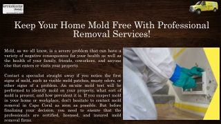 Professional For Commercial Mold Remediation At Workplaces In Fort Myers