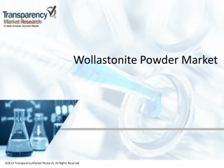 Wollastonite Powder Market