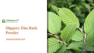 Slippery Elm Bark Powder