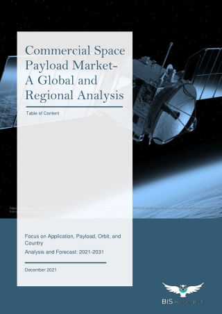 Commercial Space Payload Market, 2020-2031