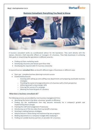 Business Consultant- Everything You Need to Know