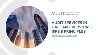 Audit Services In UAE
