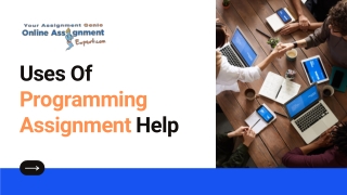 Uses Of Programming Assignment Help