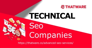 Reputed and Experienced technical seo companies - Thatware