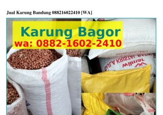 Jual Karung Bandung Ô882_lϬÔ2_24lÔ(whatsApp)