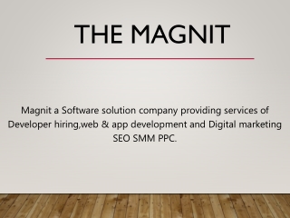Custom Website & Mobile App development Company | Magnit