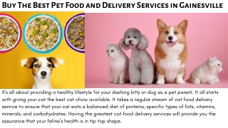 Buy The Best Cat Food and Delivery Services in Gainesville at Down Town Tabby Pet Store