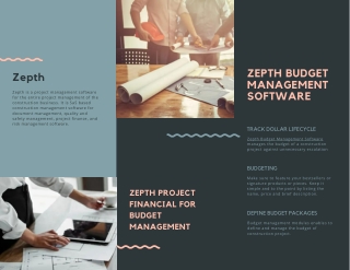 ZEPTH BUDGET MANAGEMENT SOFTWARE