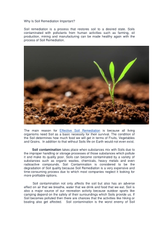 Why Soil remediation Important?